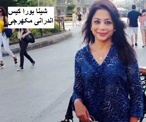 شینا بورا کیس: اندرانی نے پارسل میں بندوق چھپا کر مجھے بنائے گئے، ڈرائیور کا دعوی